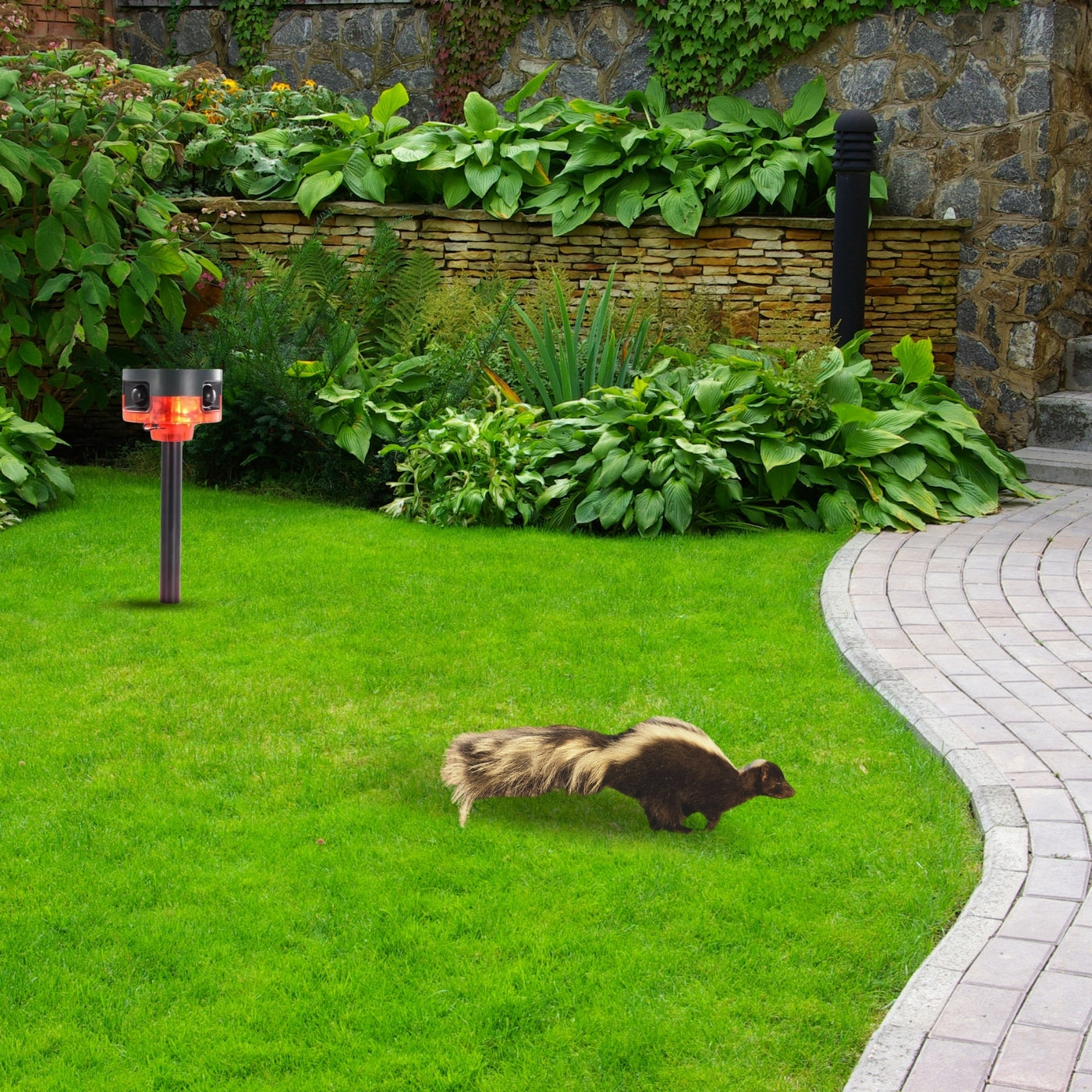 Solar-Powered Motion-Activated Strobe Light | 360° Detection, Eco-Friendly Skunk Repeller for Home and Garden