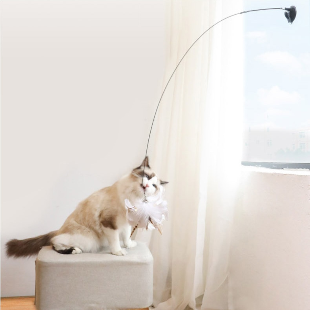 Interactive Bird Stimulation Cat Toy Set | Safe, Non-Toxic & Engaging for Indoor Playtime and Natural Hunting Instincts