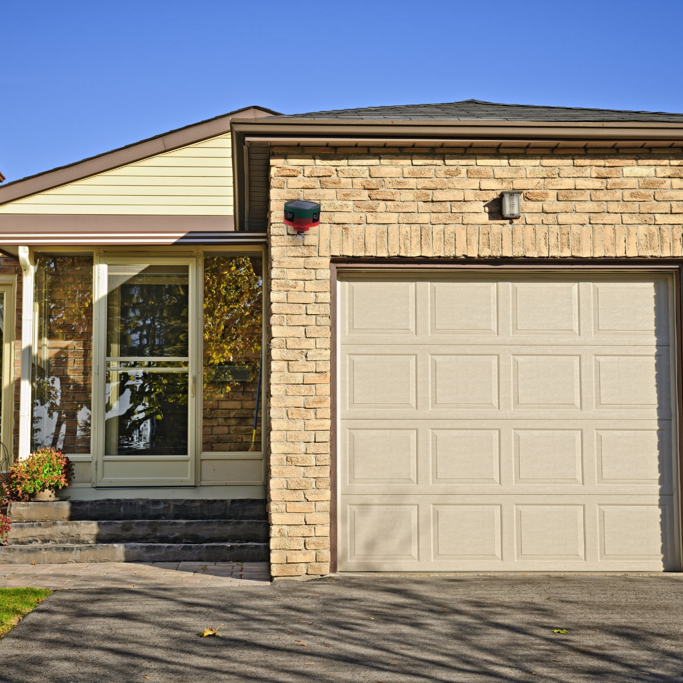 Solar-Powered Motion-Activated Strobe Light | 360° Detection, Eco-Friendly Skunk Repeller for Home and Garden