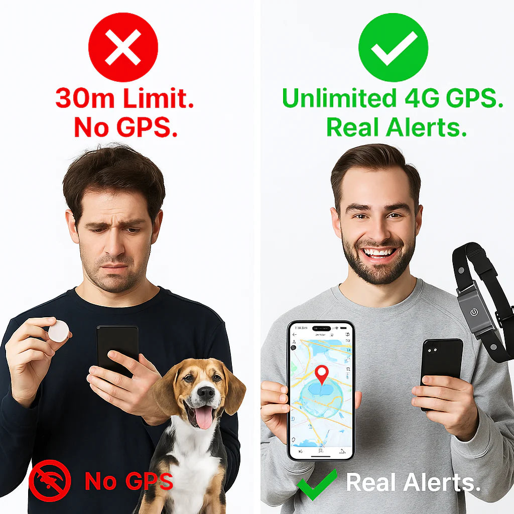 4G GPS Dog Tracker Collar | Real-Time Location & Safety Alerts