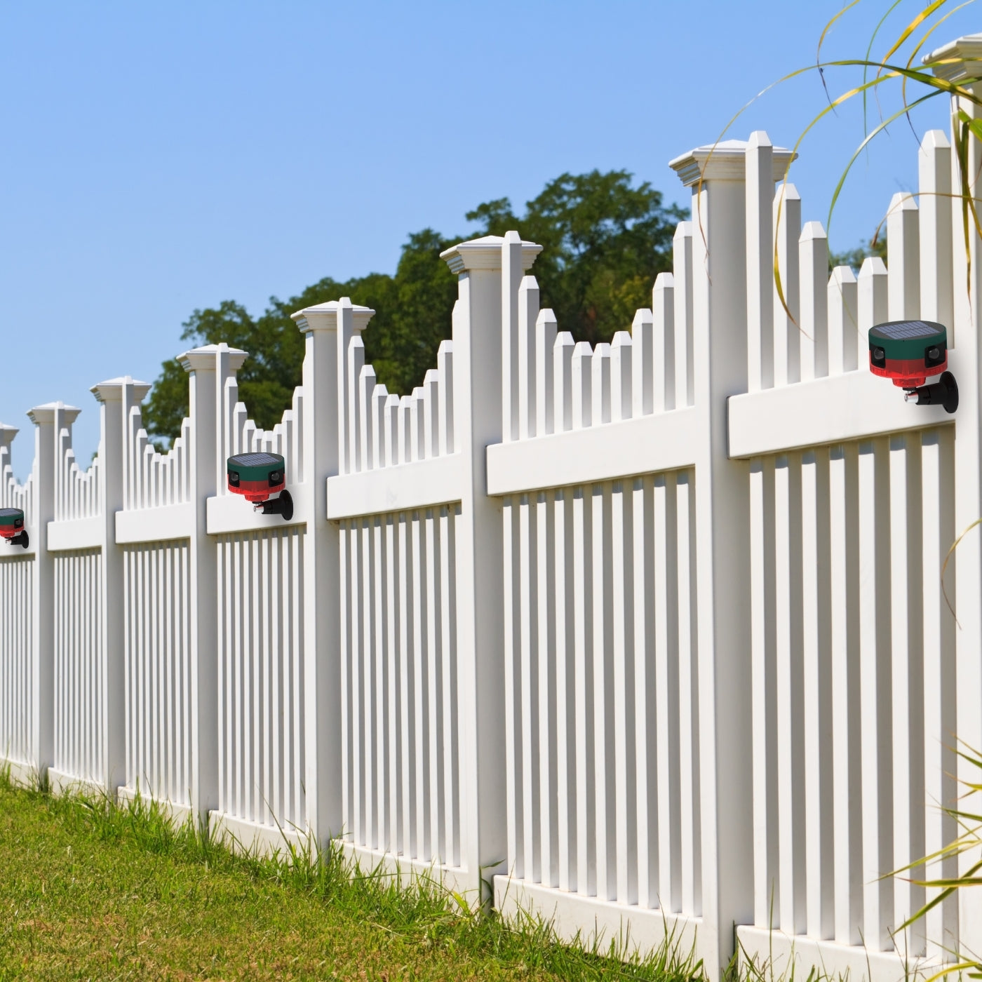 Solar-Powered Motion-Activated Strobe Light | 360° Detection, Eco-Friendly Skunk Repeller for Home and Garden