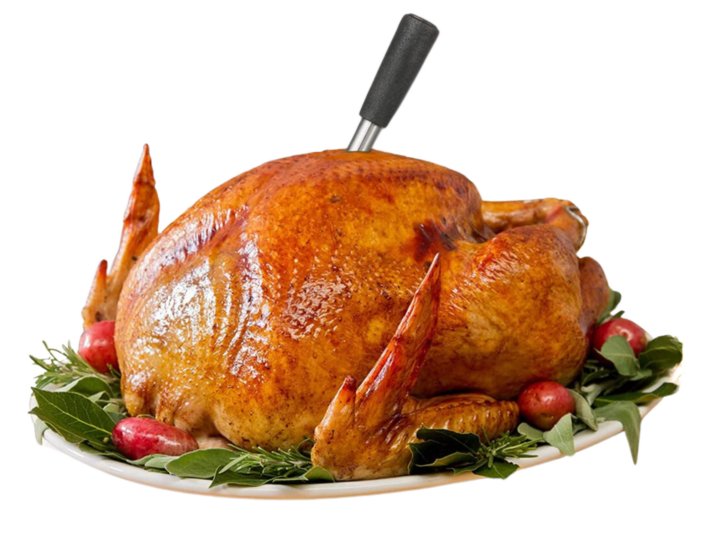 Wireless Food Thermometer, Meat Thermometer - Explore Precision Cooking