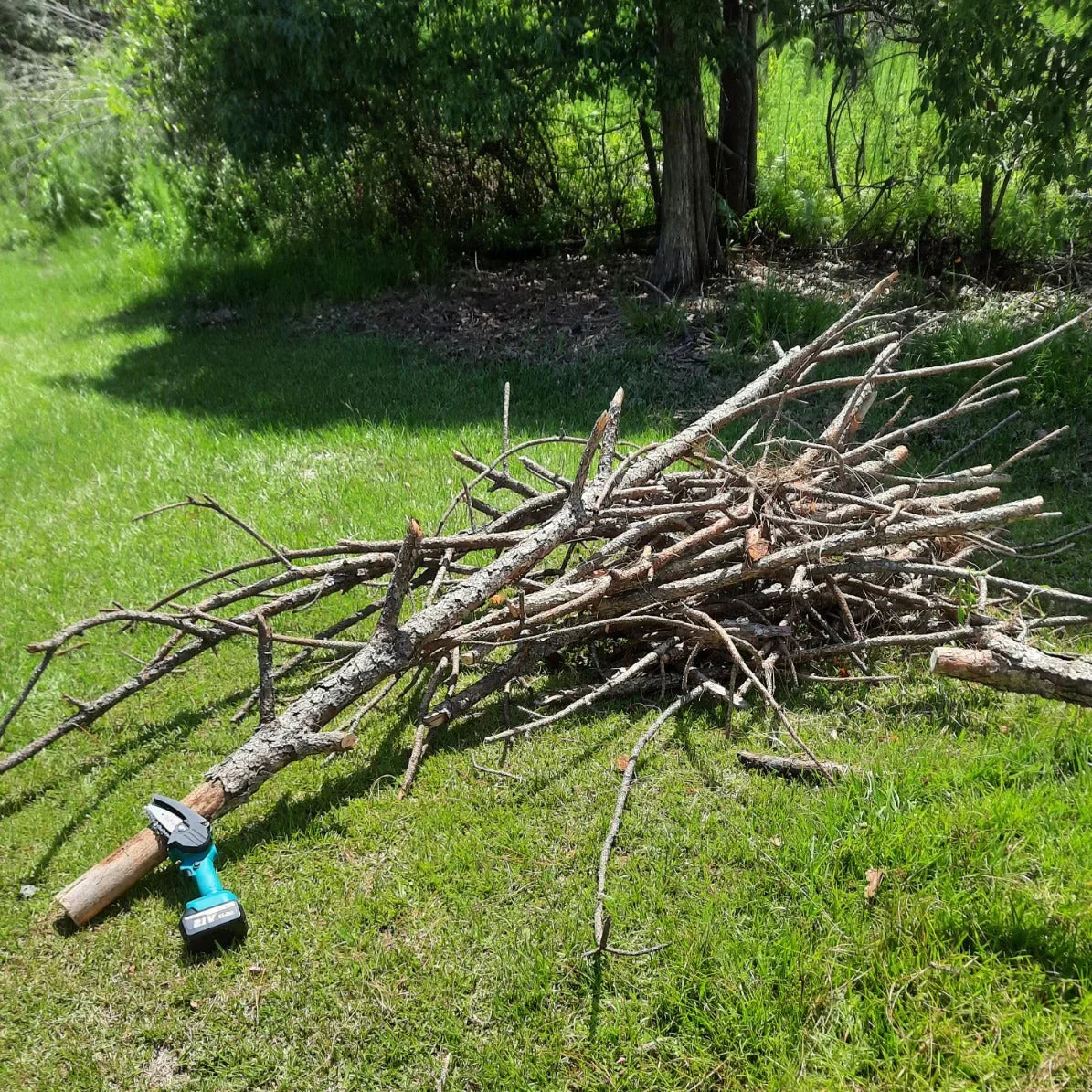 4" Electric Chainsaw Kit with Battery & Charger - Lightweight Cordless Chainsaw for Gardening & Tree Trimming