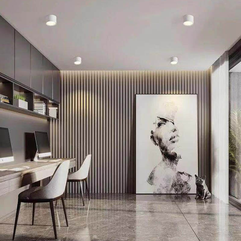 Surface Mounted Downlight Fixture - Adjustable LED Lighting for Home, Office & Retail Spaces