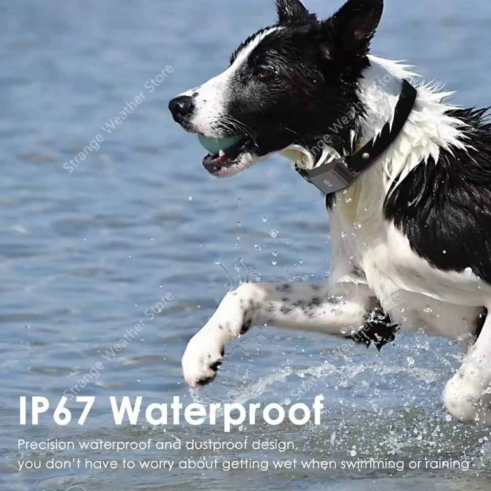 4G GPS Dog Tracker Collar | Real-Time Location & Safety Alerts