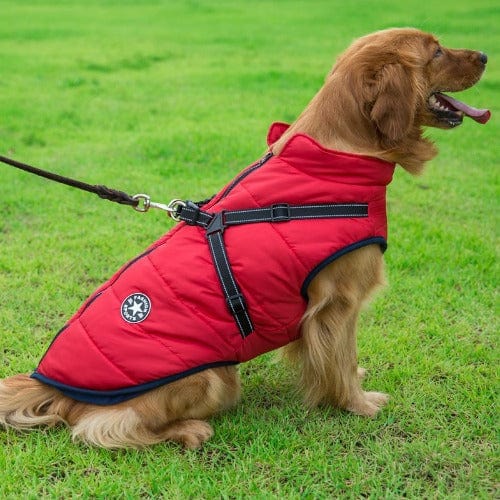 Waterproof Dog Jacket with Harness | Insulated, Warm & Weather-Ready for Extreme Cold and Wet Conditions