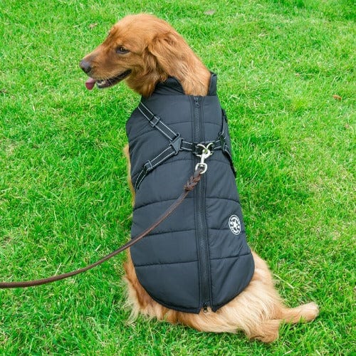 Waterproof Dog Jacket with Harness | Insulated, Warm & Weather-Ready for Extreme Cold and Wet Conditions
