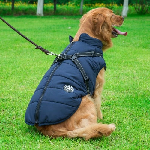 Waterproof Dog Jacket with Harness | Insulated, Warm & Weather-Ready for Extreme Cold and Wet Conditions
