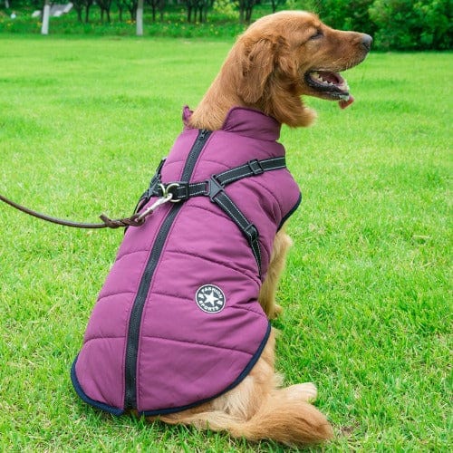 Waterproof Dog Jacket with Harness | Insulated, Warm & Weather-Ready for Extreme Cold and Wet Conditions