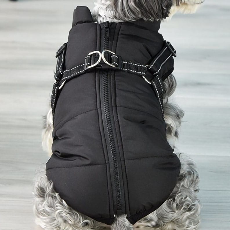 Waterproof Dog Jacket with Harness | Insulated, Warm & Weather-Ready for Extreme Cold and Wet Conditions