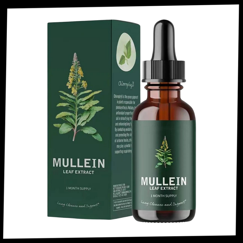 Natural Mullein Extract | Mullein Drops for Lung Detox - Support Lungs & Clear Phlegm with Herbal Power