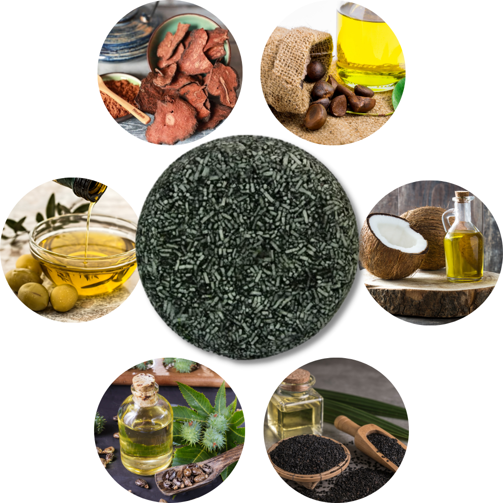 Gray Hair Control Shampoo | Reverse Gray Hair with Natural Shampoo – Darkening Formula for Healthy Hair