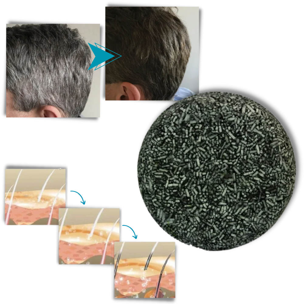 Gray Hair Control Shampoo | Reverse Gray Hair with Natural Shampoo – Darkening Formula for Healthy Hair