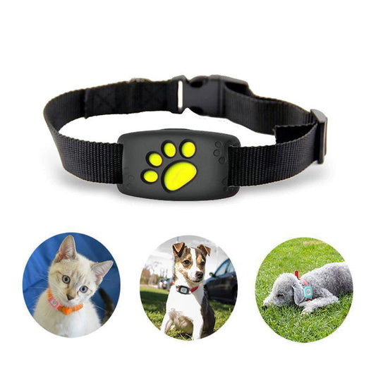 Smart GPS Cat and Dog Collar Pet tracker