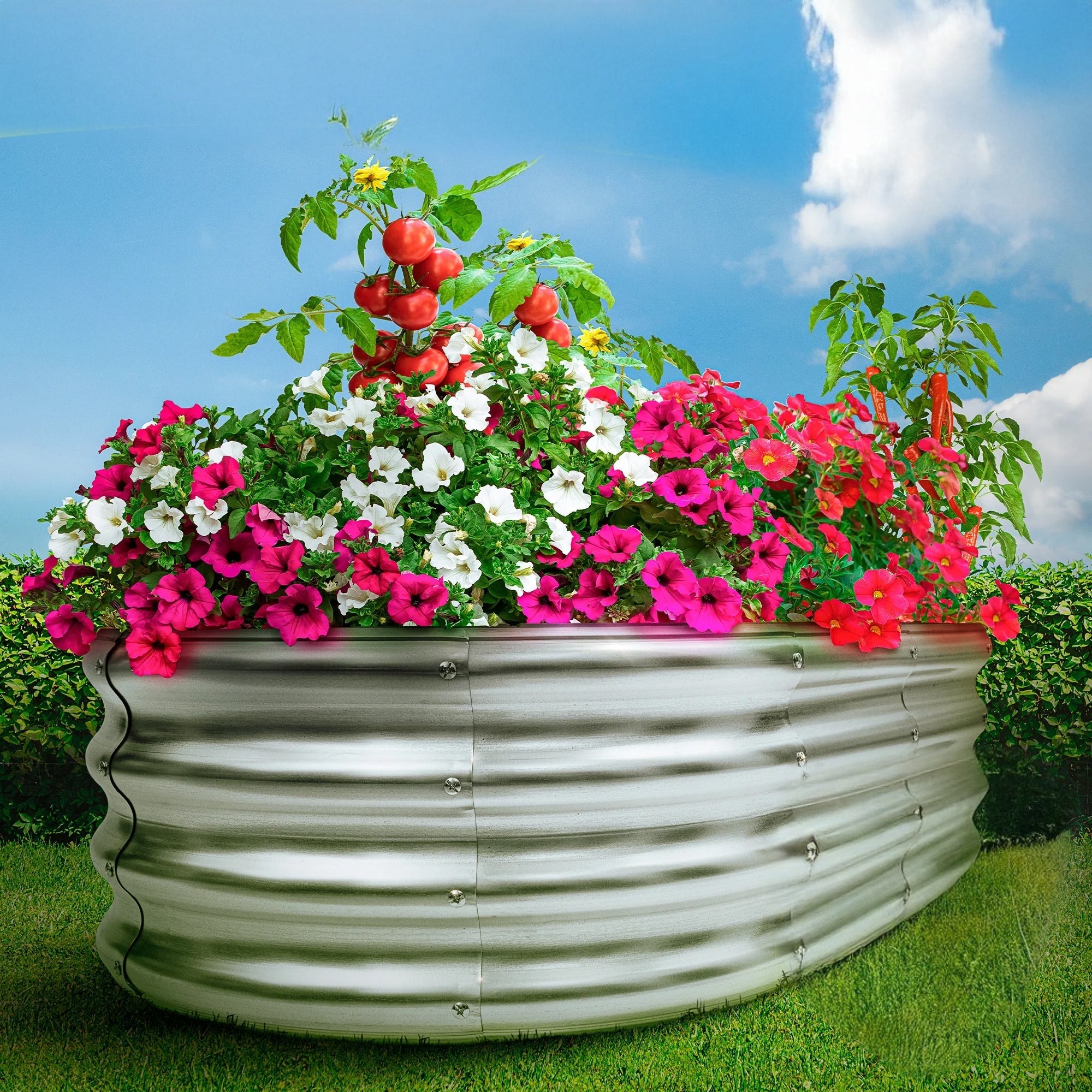 Galvanised Steel Raised Garden Bed | Durable, Modular Design for Organized Planting in Your Outdoor Space