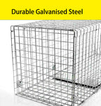 Humane Live Animal Trap | Durable, Collapsible Design for Safe Capture of Stray Cats, Rabbits & Raccoons