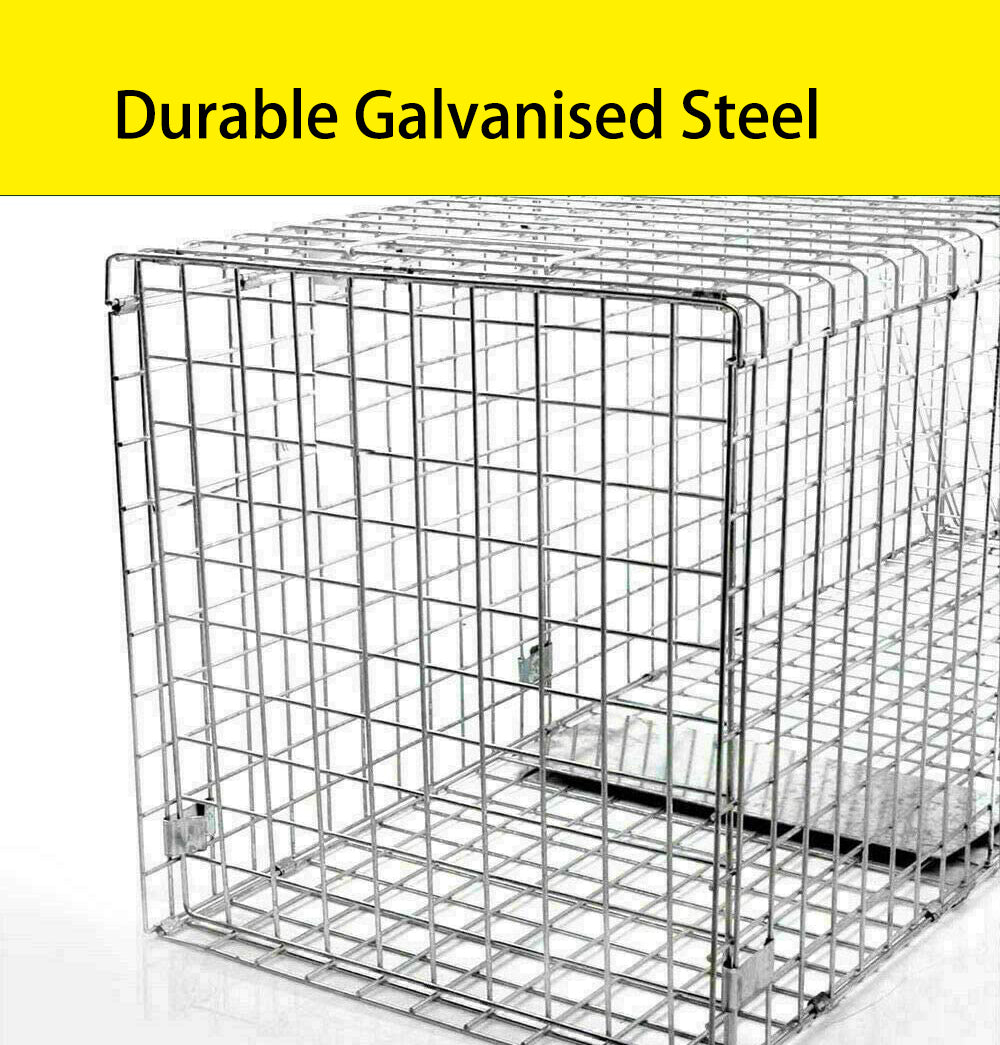 Humane Live Animal Trap | Durable, Collapsible Design for Safe Capture of Stray Cats, Rabbits & Raccoons