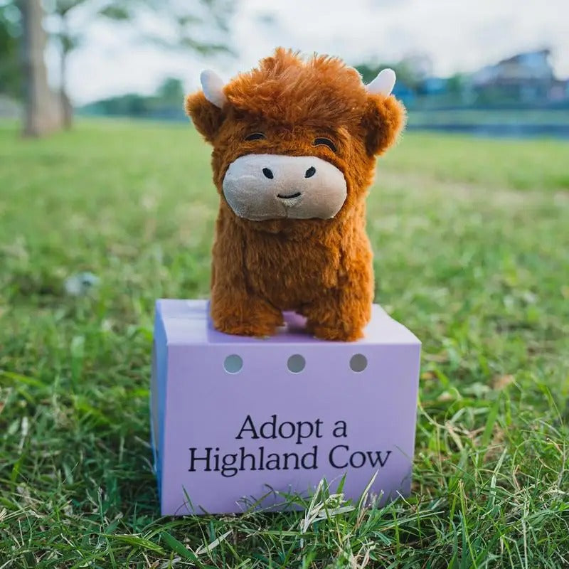Fluffy Highland Cow Plush Toy | Soft, Cuddly & Perfect for Home Decor or Kids' Companionship