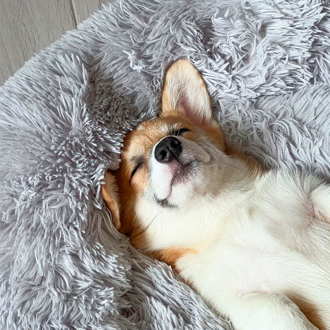 Orthopedic Donut Dog Bed | Plush Faux Fur, Memory Foam & Waterproof for Calming Comfort and Support for All Breeds