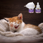 Cat Calming Pheromone Diffuser | Natural, Odorless Solution for Stress Relief in Multi-Cat Households