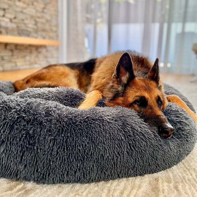 Orthopedic Donut Dog Bed | Plush Faux Fur, Memory Foam & Waterproof for Calming Comfort and Support for All Breeds