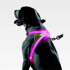 LED Dog Harness | Lightweight, Weather-Resistant & Visible Up to 1,000 Feet for Night Walks