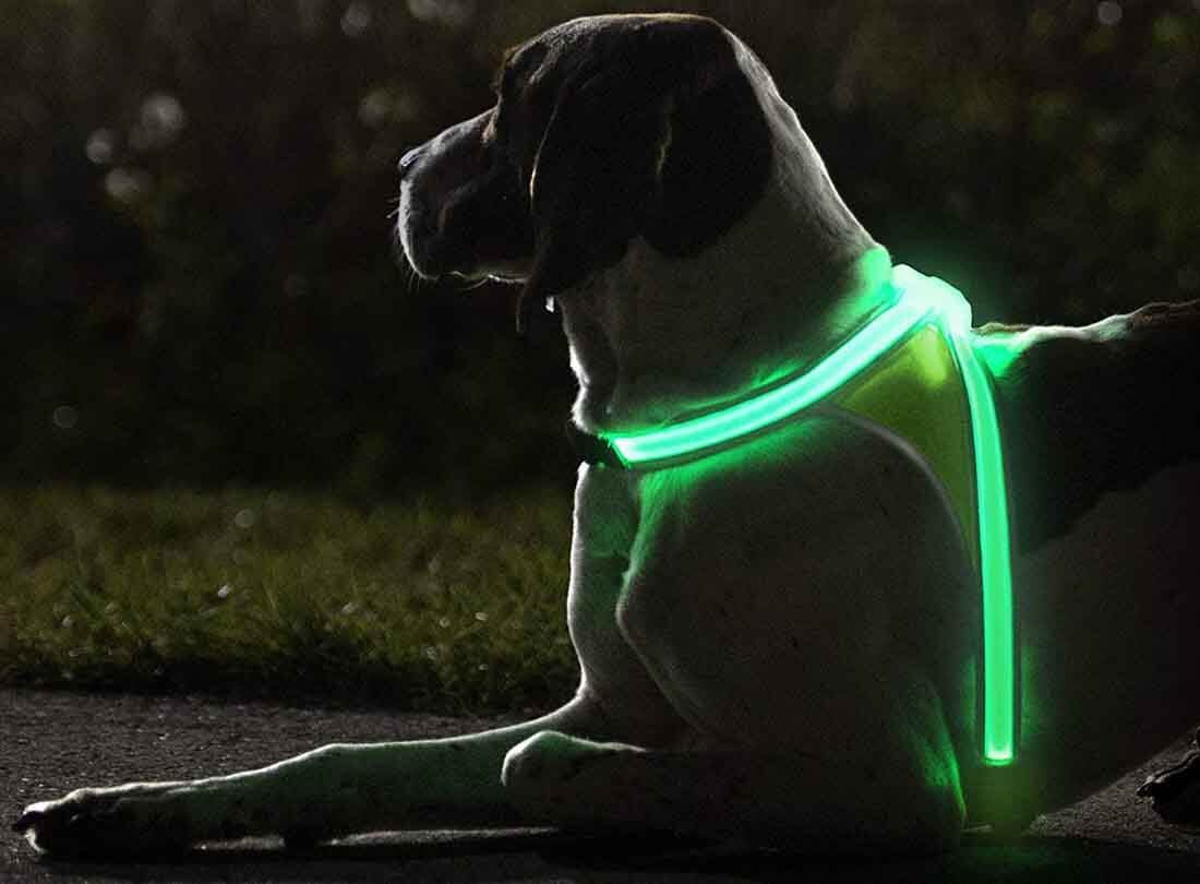 LED Dog Harness | Lightweight, Weather-Resistant & Visible Up to 1,000 Feet for Night Walks