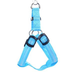 LED Dog Harness | Lightweight, Weather-Resistant & Visible Up to 1,000 Feet for Night Walks