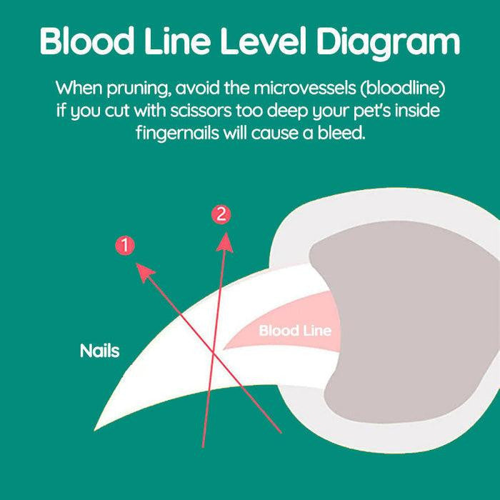 Pet Dog Nail Clipper with LED Light | Quick Sensor, 5x Magnification & Safe for Easy Home Grooming