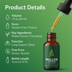 Natural Mullein Extract | Mullein Drops for Lung Detox - Support Lungs & Clear Phlegm with Herbal Power