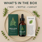 Natural Mullein Extract | Mullein Drops for Lung Detox - Support Lungs & Clear Phlegm with Herbal Power