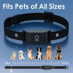 4G GPS Dog Tracker Collar | Real-Time Location & Safety Alerts