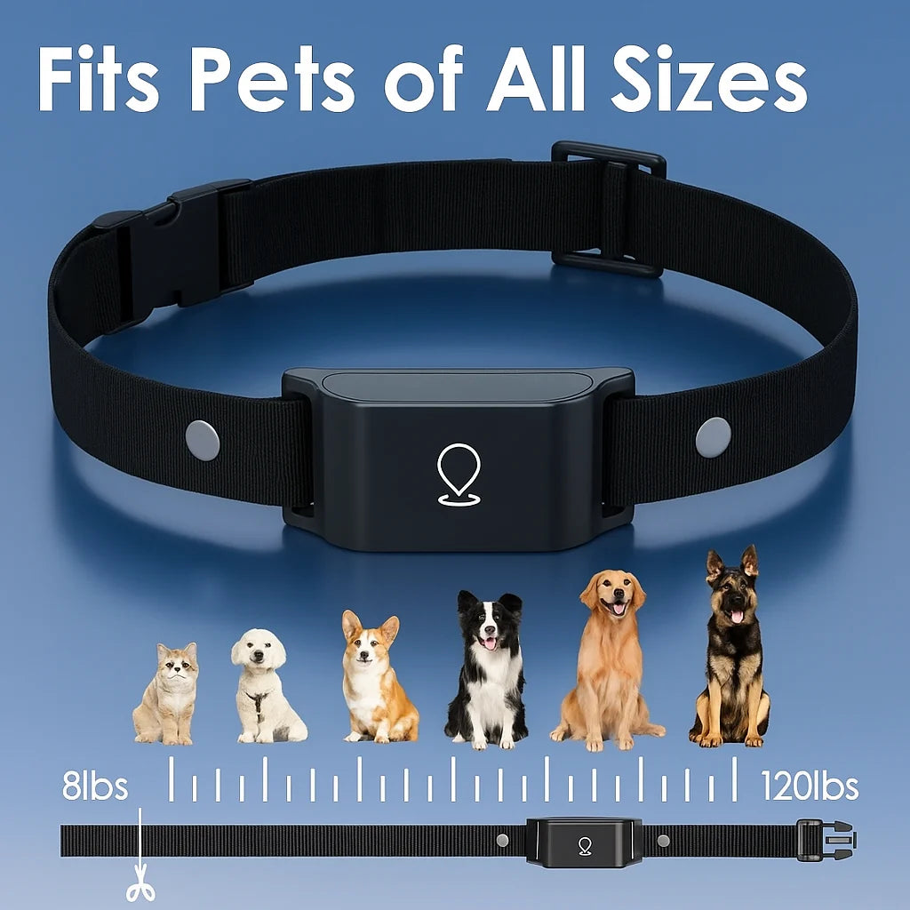 4G GPS Dog Tracker Collar | Real-Time Location & Safety Alerts
