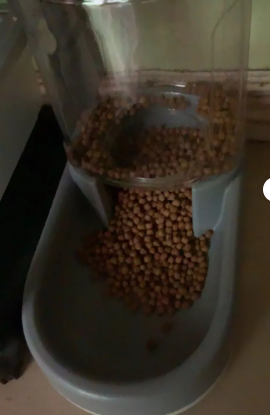 Automatic Pet Food and Water Dispenser | 3.8L Capacity for Dogs and Cats, Easy to Clean & Ideal for Busy Pet Owners