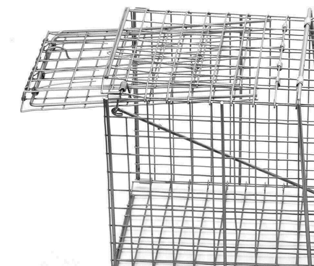 Humane Live Animal Trap | Durable, Collapsible Design for Safe Capture of Stray Cats, Rabbits & Raccoons