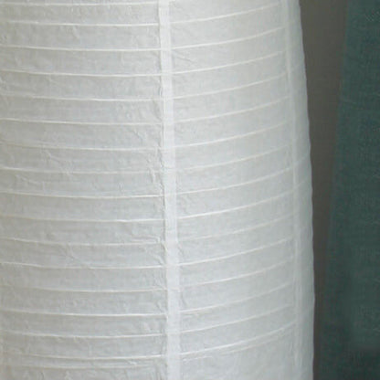Minimalistic 2-Light Floor Lamp with Rice Paper Shade for Living Room & Bedroom Lighting