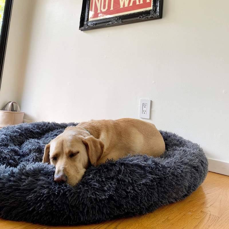 Orthopedic Donut Dog Bed | Plush Faux Fur, Memory Foam & Waterproof for Calming Comfort and Support for All Breeds
