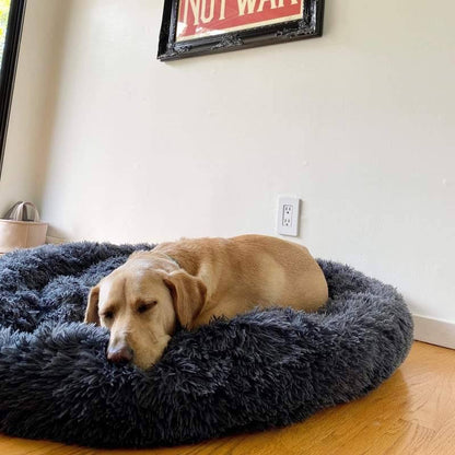 Orthopedic Donut Dog Bed | Plush Faux Fur, Memory Foam & Waterproof for Calming Comfort and Support for All Breeds