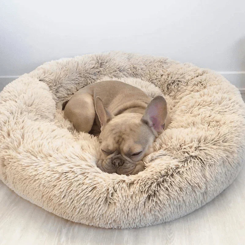 Orthopedic Donut Dog Bed | Plush Faux Fur, Memory Foam & Waterproof for Calming Comfort and Support for All Breeds