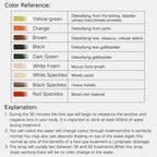 Daily Wellness Ionic Foot Bath - Detoxification Foot Spa for Health & Relaxation