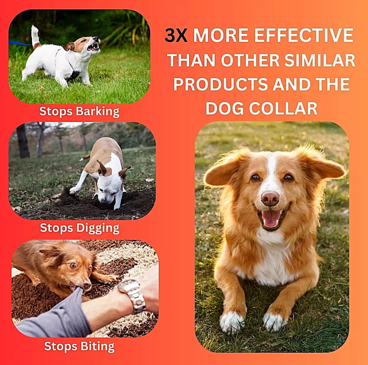 Ultrasonic Dog Barking Control Device | Safe, Pain-Free Trainer with Sound & Light for Effective Behaviour Correction