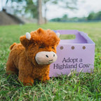 Fluffy Highland Cow Plush Toy | Soft, Cuddly & Perfect for Home Decor or Kids' Companionship