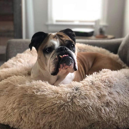 Orthopedic Donut Dog Bed | Plush Faux Fur, Memory Foam & Waterproof for Calming Comfort and Support for All Breeds