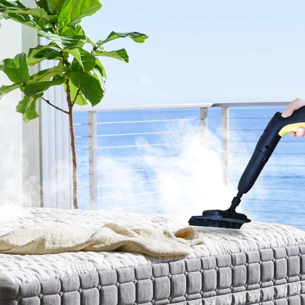 Steam Cleaner for Bed Bugs | High Temperature, Large Capacity & Effective for Home Use