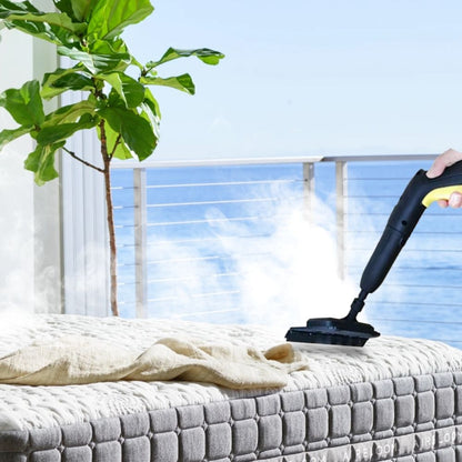 Steam Cleaner for Bed Bugs | High Temperature, Large Capacity & Effective for Home Use