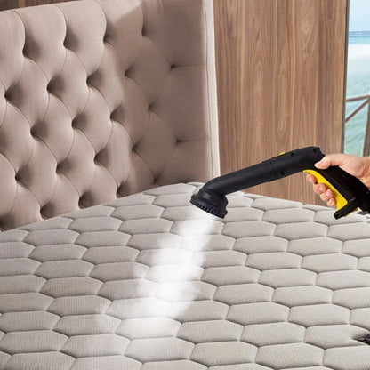 Steam Cleaner for Bed Bugs | High Temperature, Large Capacity & Effective for Home Use