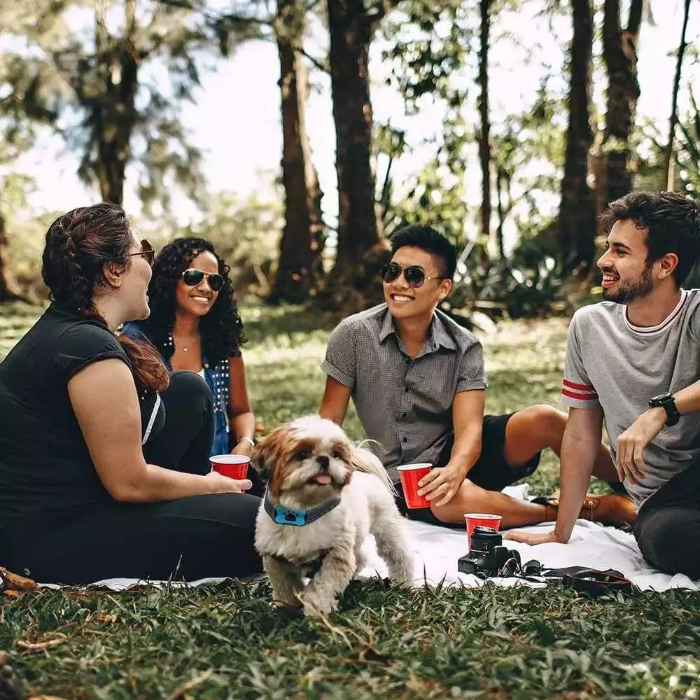 Anti-Bark Dog Collar | Painless Sound Wave Technology for Dogs 11-110 lbs, Adjustable Fit for Small to Large Breeds