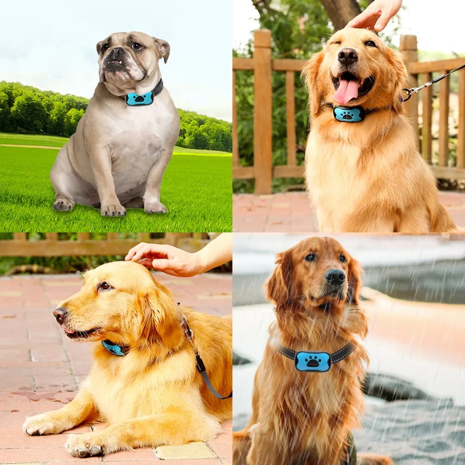 Anti-Bark Dog Collar | Painless Sound Wave Technology for Dogs 11-110 lbs, Adjustable Fit for Small to Large Breeds