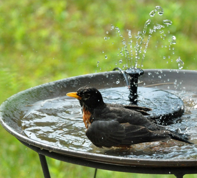 Solar Garden Bird Fountain | Eco-Friendly, Solar-Powered Design for Outdoor Spaces