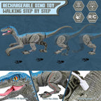 Remote-Controlled Velociraptor Dinosaur | Realistic Movement, Sounds & Lights for Kids Aged 3-12, Perfect for Imaginative Play